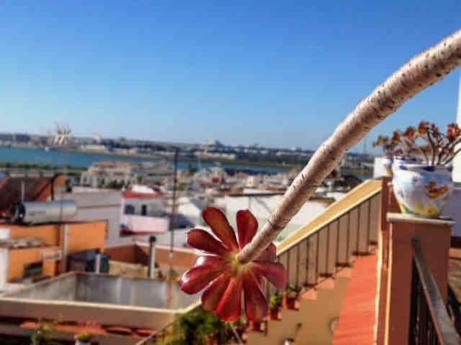 “Flor De Sal” Charming Traditional Andalusian House 阿亚蒙特 外观 照片
