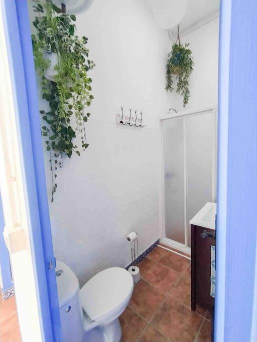 “Flor De Sal” Charming Traditional Andalusian House 阿亚蒙特 外观 照片